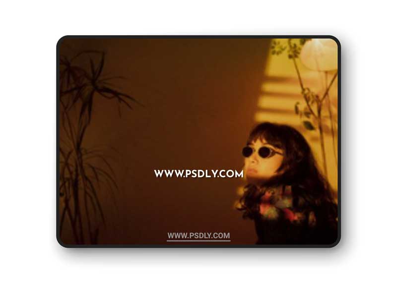 The Classic Presets - Classic Vision 3