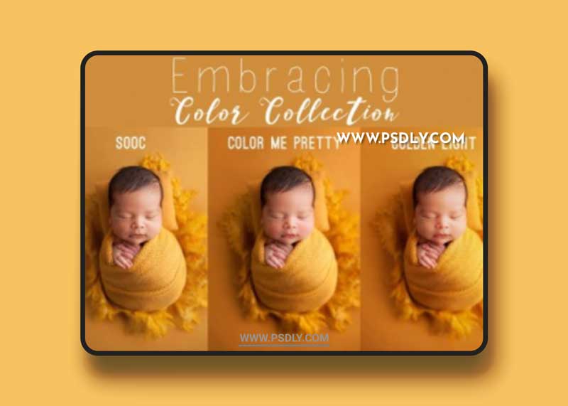 The Embracing Color Collection