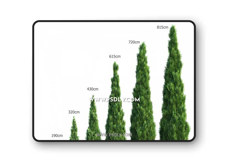 Thuya. Set of 7 models 3D Model