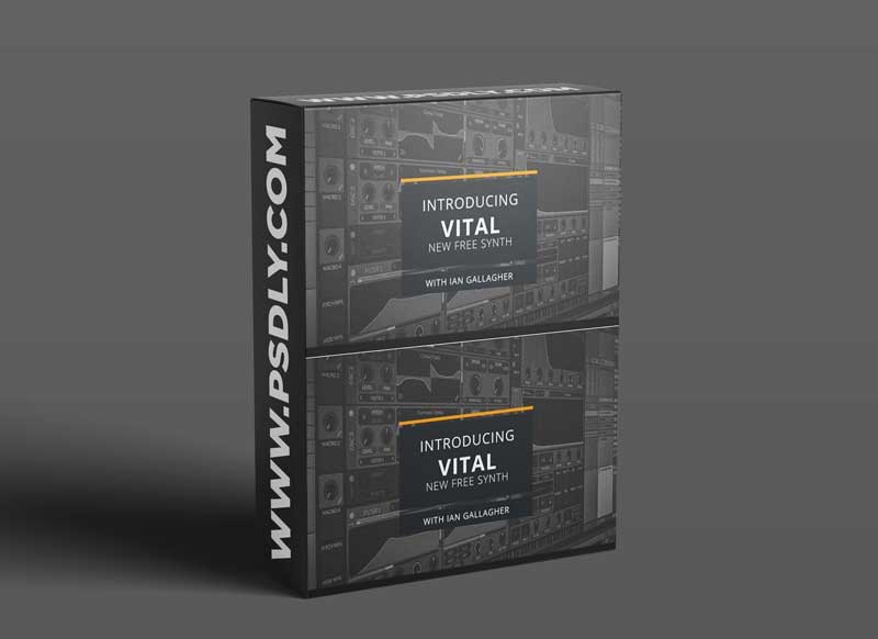 Warp Academy Introducing VITAL