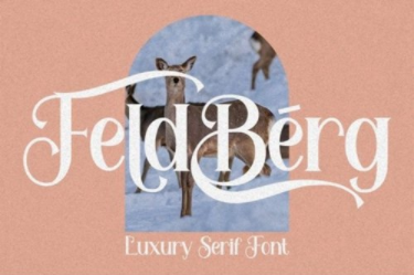Feldberg Font