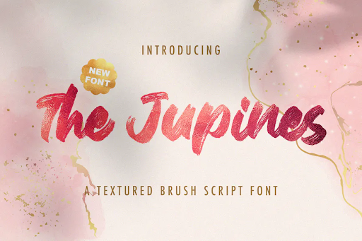The Junipes - Textured Brush Font 52S46R3