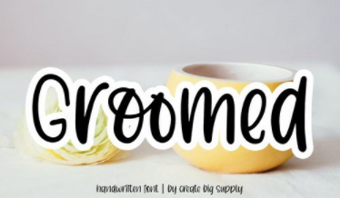 Groomed Handwriting Display Font
