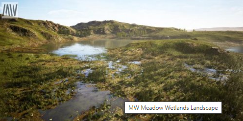 MW Meadow Wetlands Landscape 2 image 86