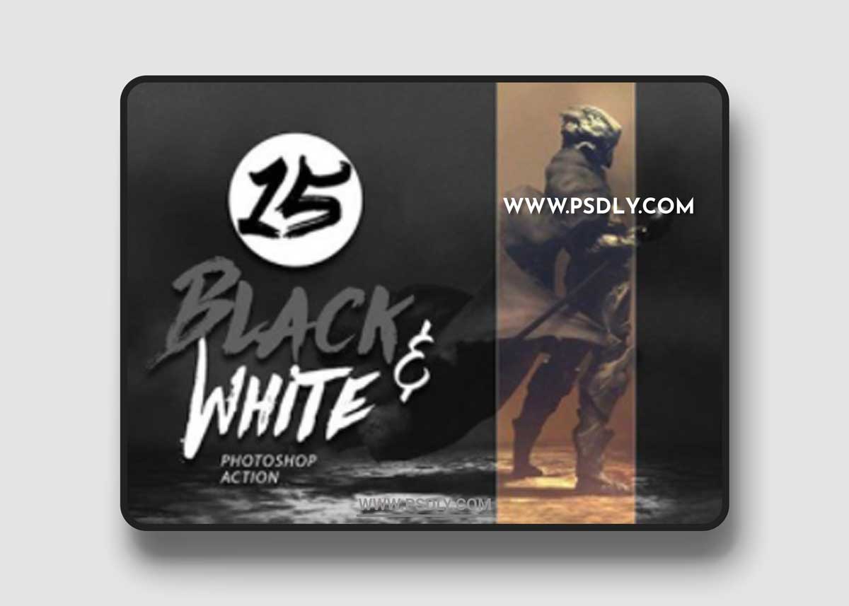 15 Black and White Photo Effect