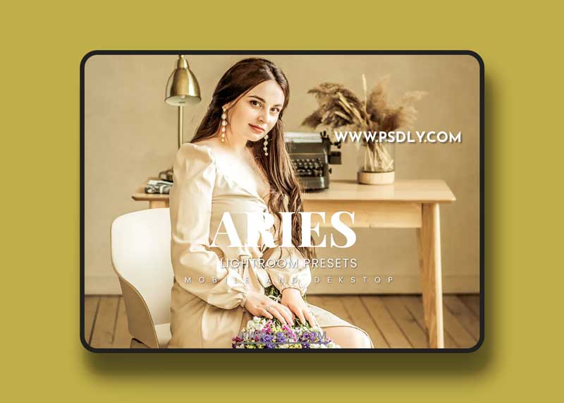 Aries Lightroom Presets Dekstop and Mobile