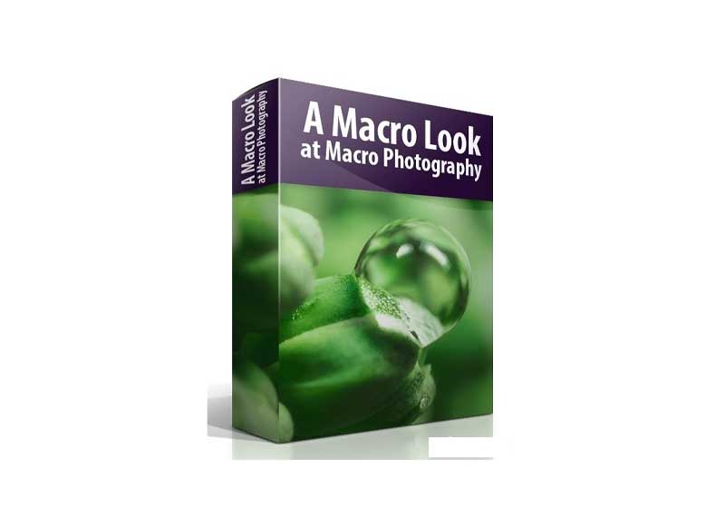 Blake Rudis - A Macro Look at Macro Photography