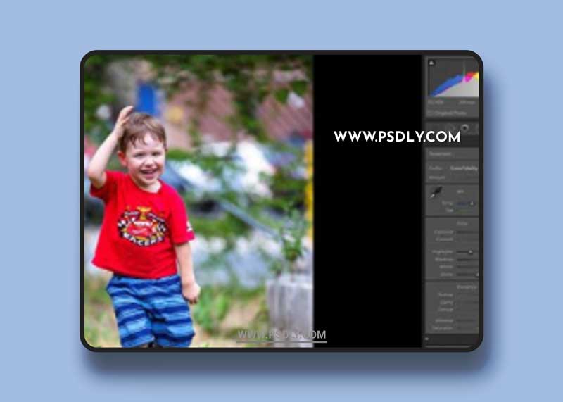 Color Fidelity - Canon EOS R Profiles