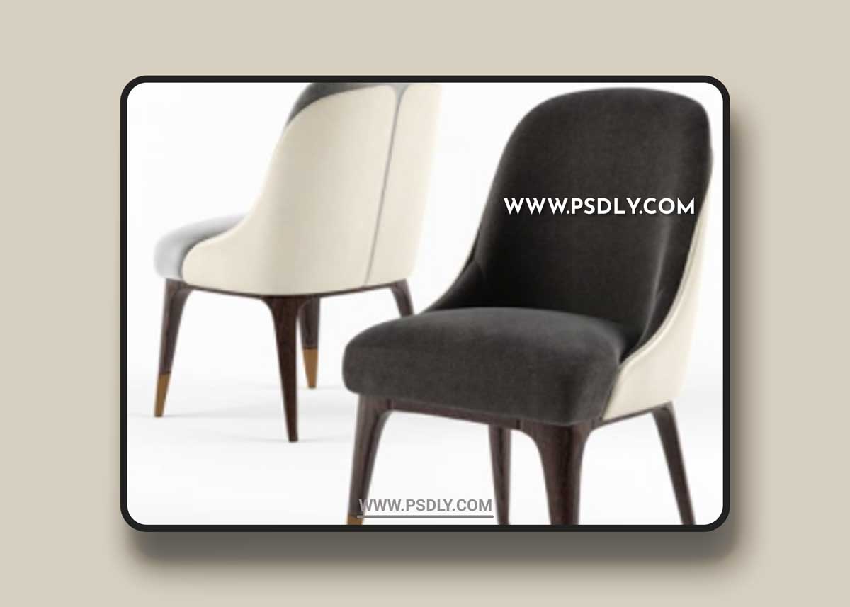 Covet Dining Chair