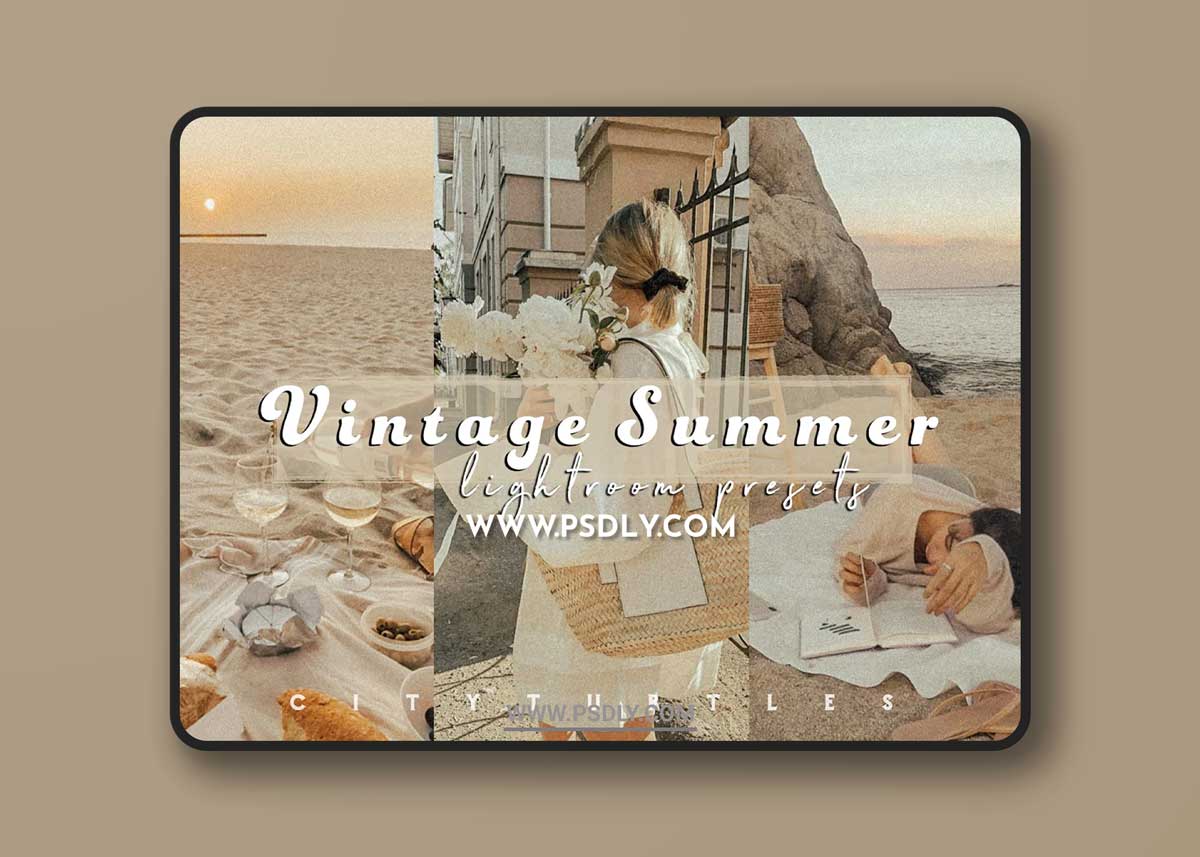 CreativeMarket - Film Grain VINTAGE SUMMER Presets 5452867