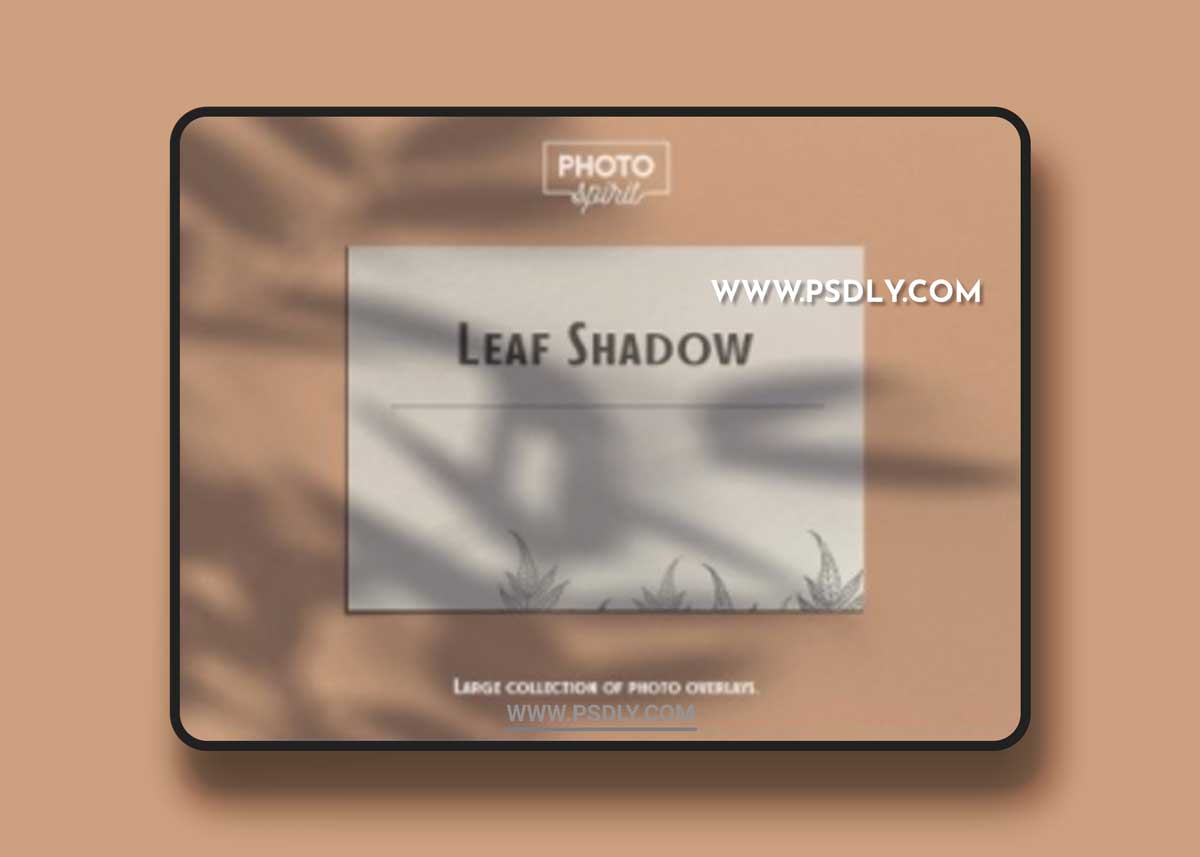 CreativeMarket - Leaf Shadow Overlays 6341914