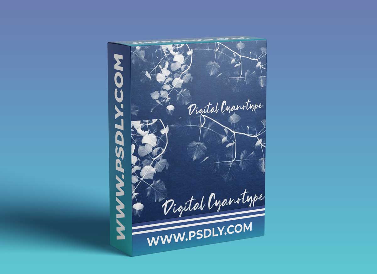 Digital Cyanotypes in Affinity Photo | A Quick Tip Class