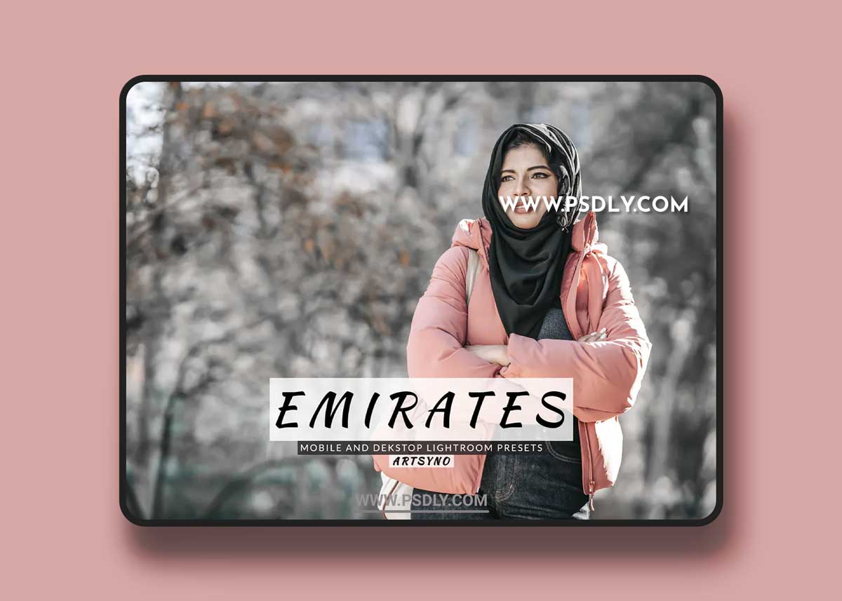 Emirates Lightroom Presets Dekstop and Mobile