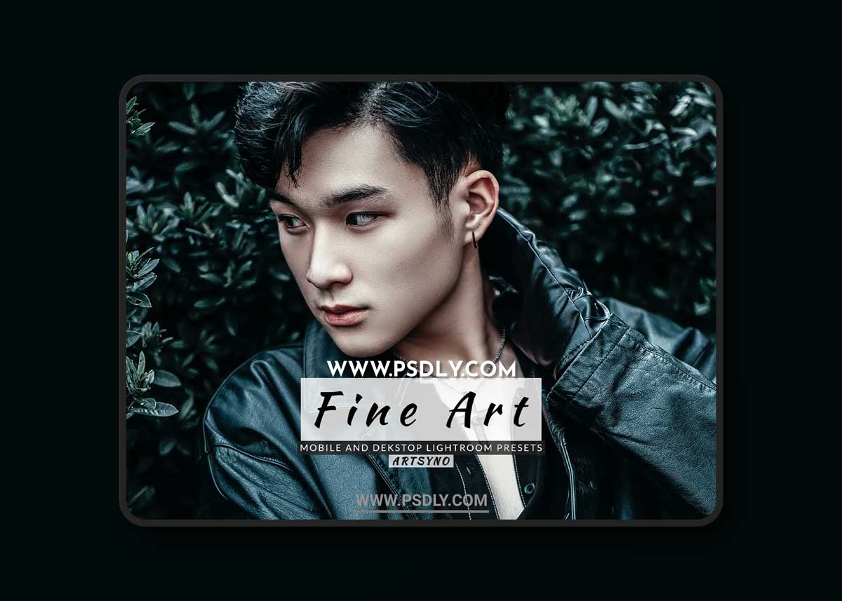 Fine Art Lightroom Presets Dekstop and Mobile