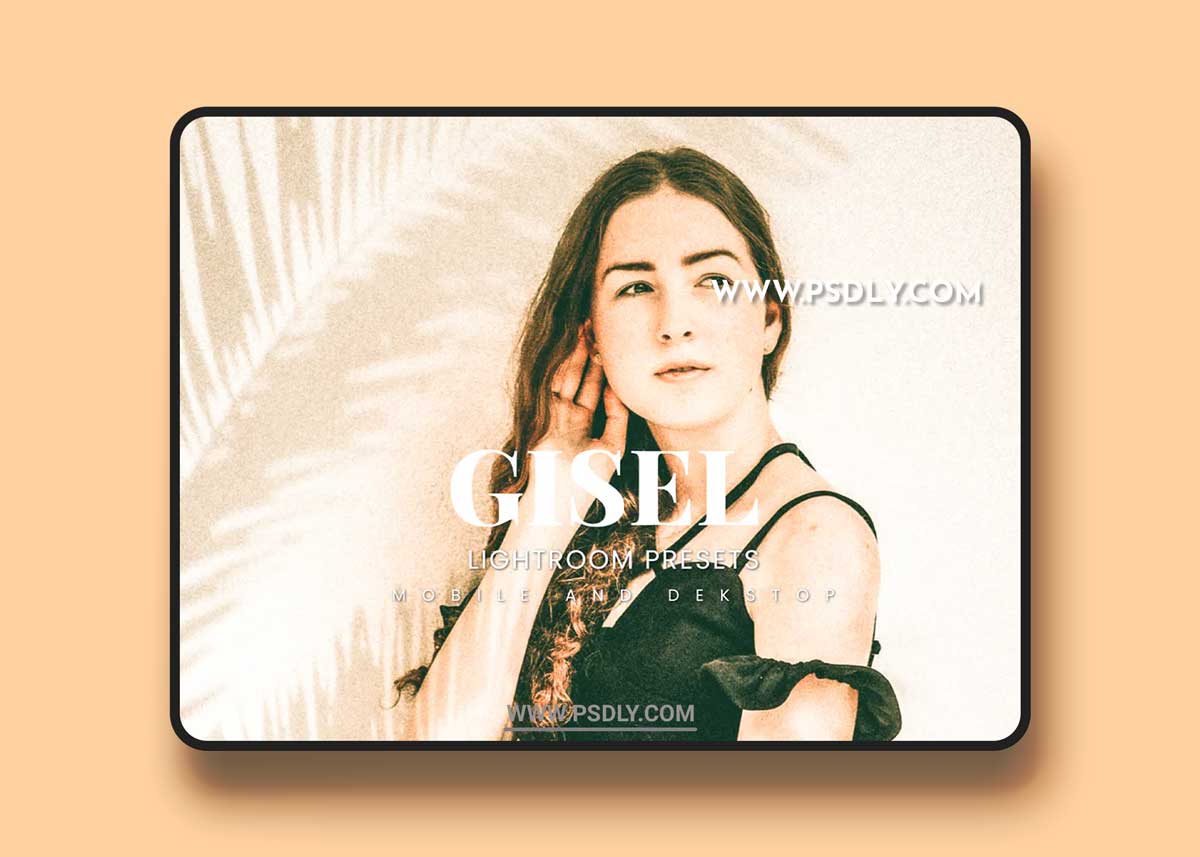 Gisel Lightroom Presets Dekstop and Mobile