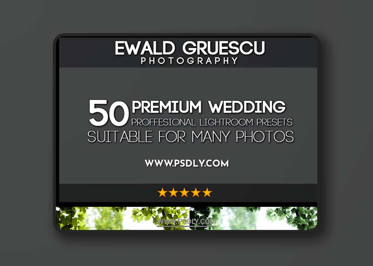 GraphicRiver - 50 Extra PRO Wedding Dream Lightroom Presets 19736117