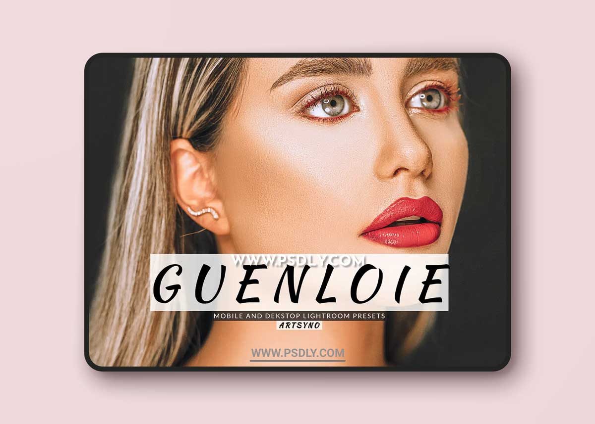 Guenloie Lightroom Presets Dekstop and Mobile