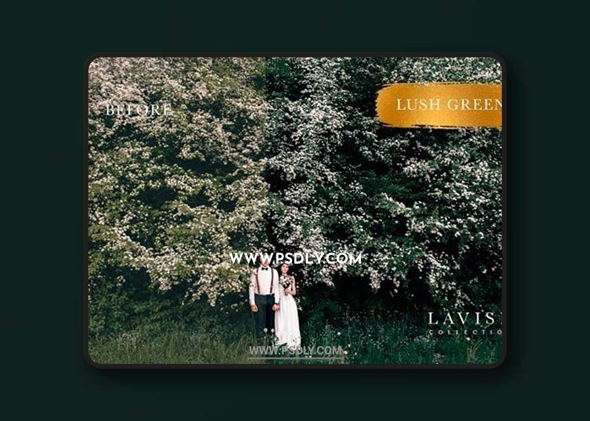 Jayde and Umber - LAVISH Wedding Preset Collection