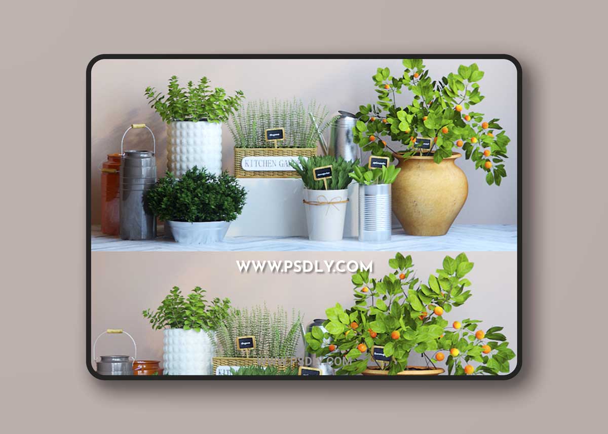 Kitchen Garden 4 3D Model