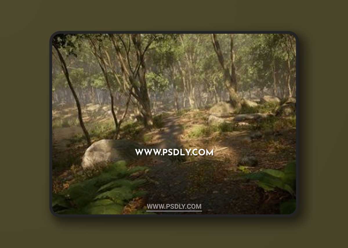 Leaf Tree Forest Biome 3D Models