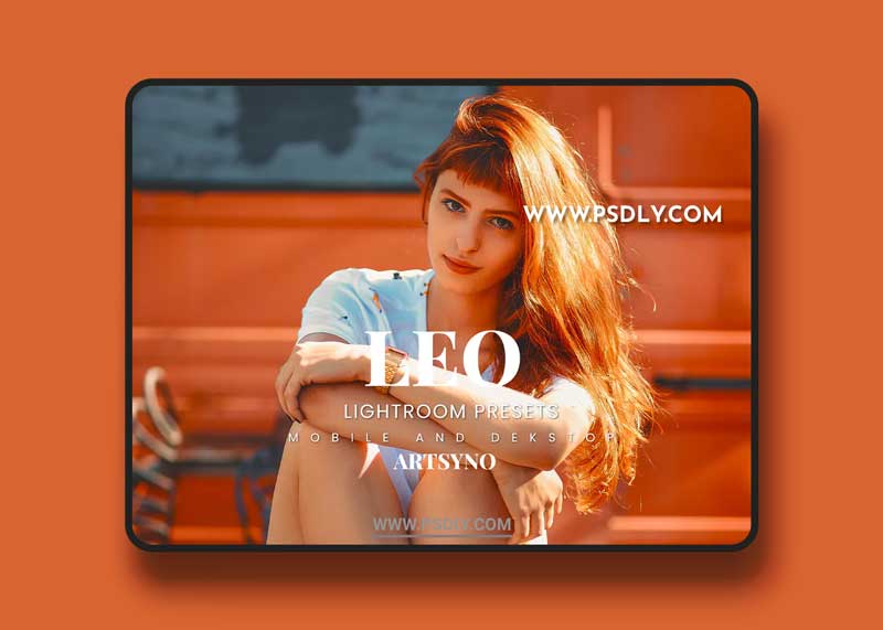 Leo Lightroom Presets Dekstop and Mobile