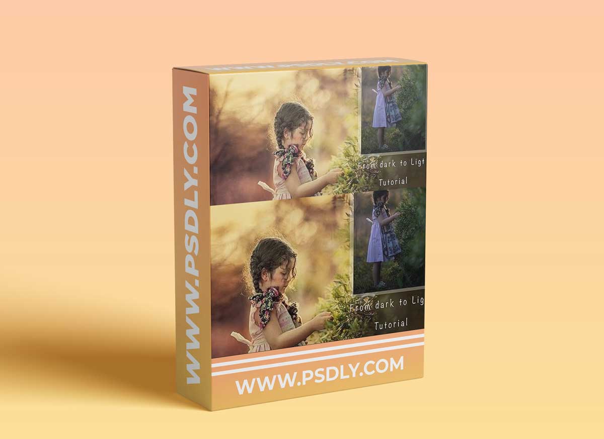 Liss Perrier Photography - From Dark to Light Tutorial