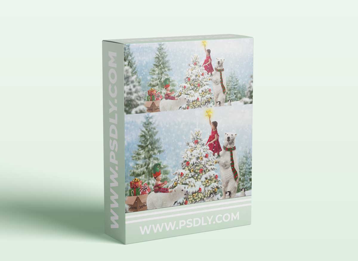 Meg Bitton - Forest Holiday