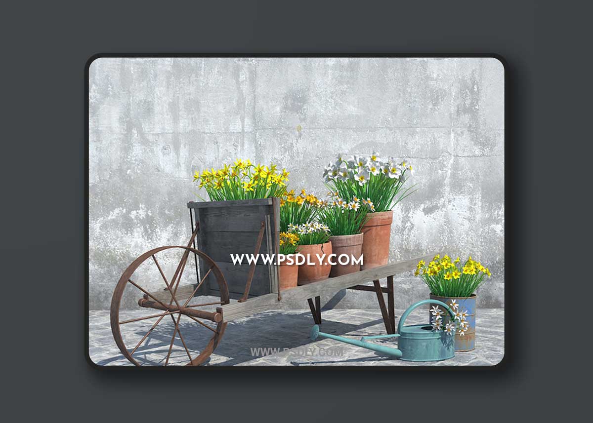 Narcissus - Set 1 3D Model