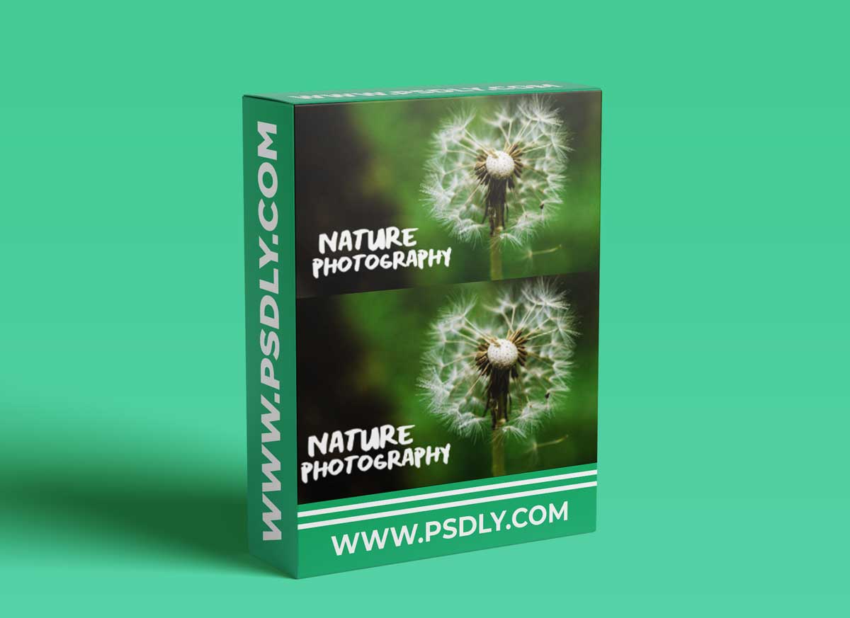 Nature Photography: Recharge and Enjoy the Outdoors