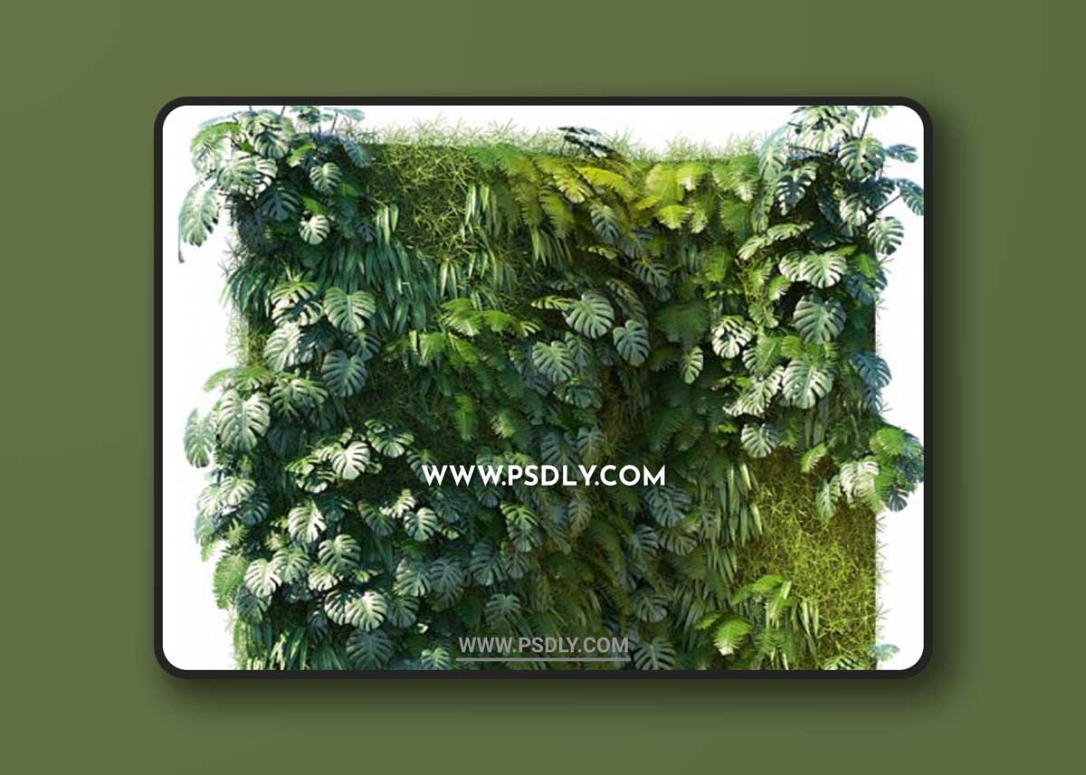 Phytowall 1 3D Models