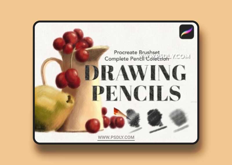 Procreate Pencil Drawing Collection