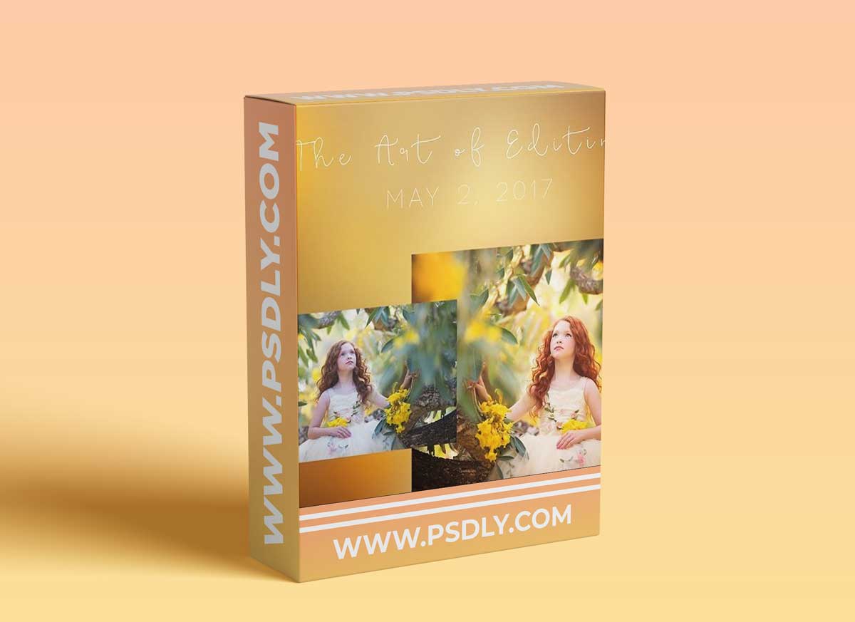 Sandra Bianco Photography - The Art of Editing Video 2