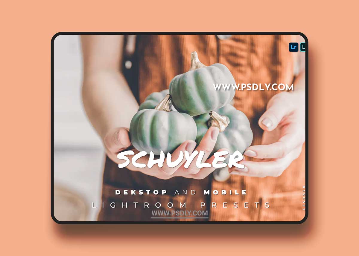 Schuyler Desktop and Mobile Lightroom Preset