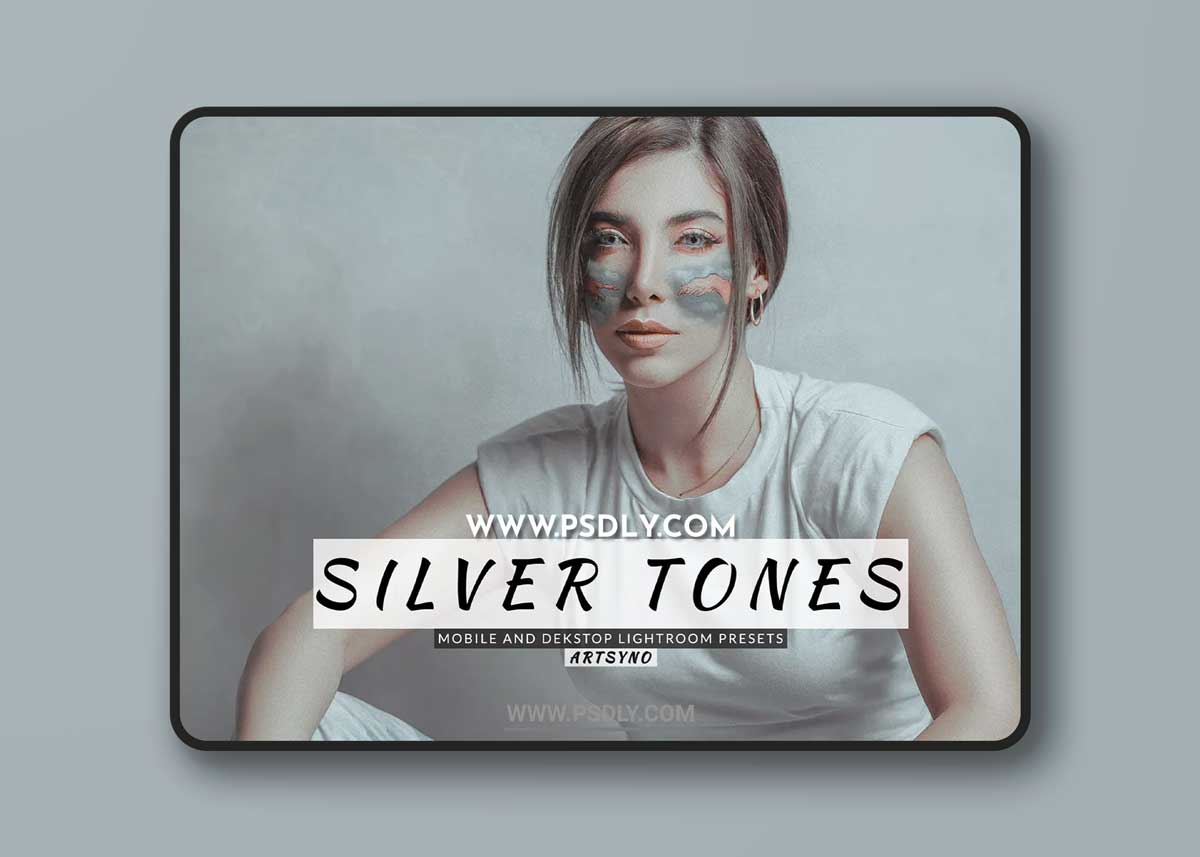 Silver Tones Lightroom Presets Dekstop and Mobile