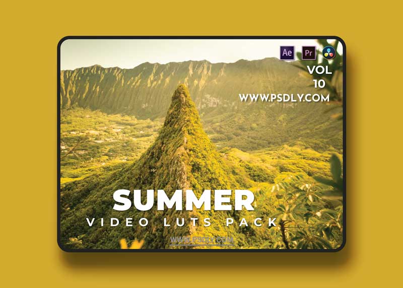 Summer Pack Video LUTs Vol.10