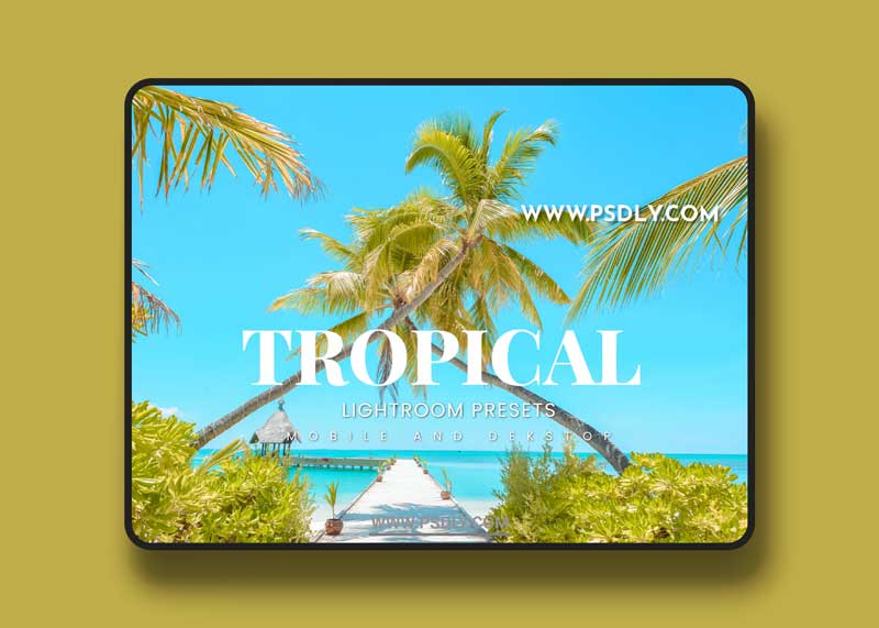Tropical Lightroom Presets Dekstop and Mobile