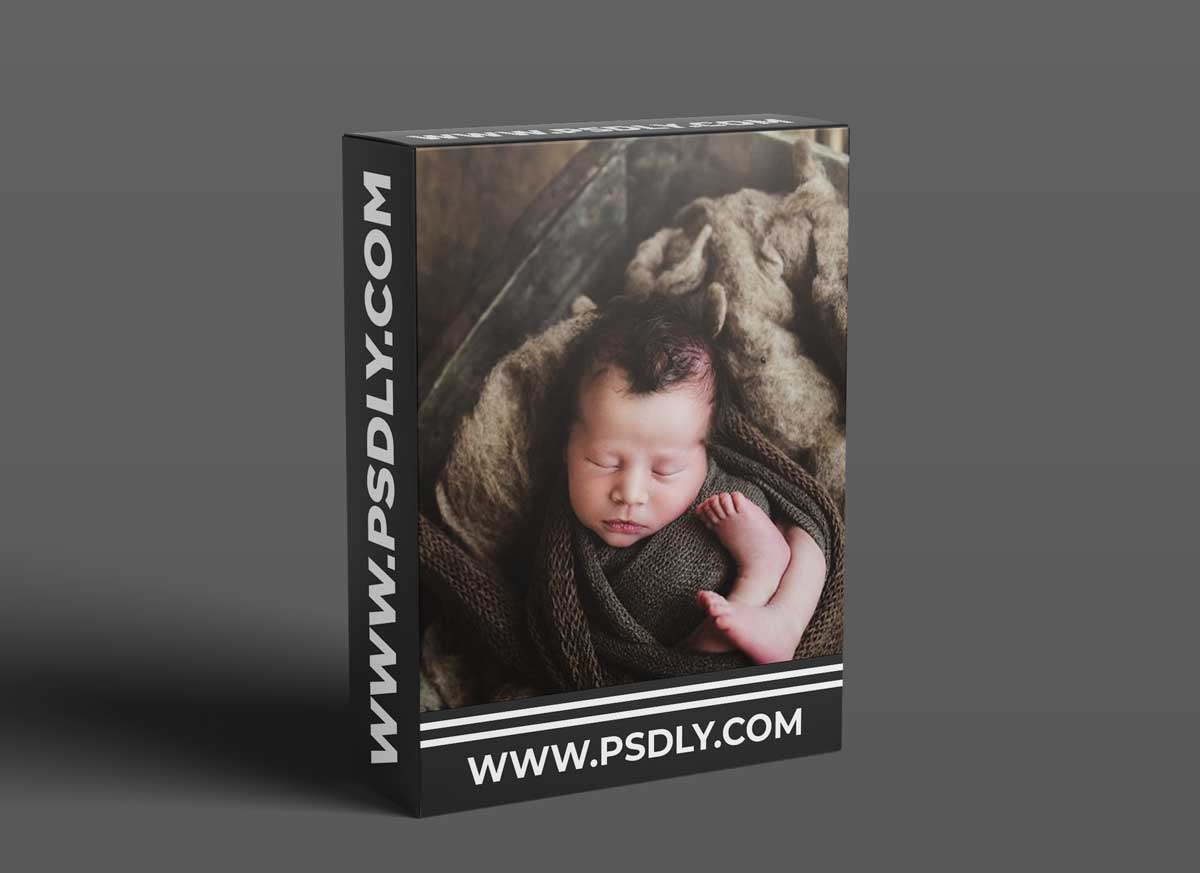 Twig & Olive Photography - Newborn Straightjacket Pose