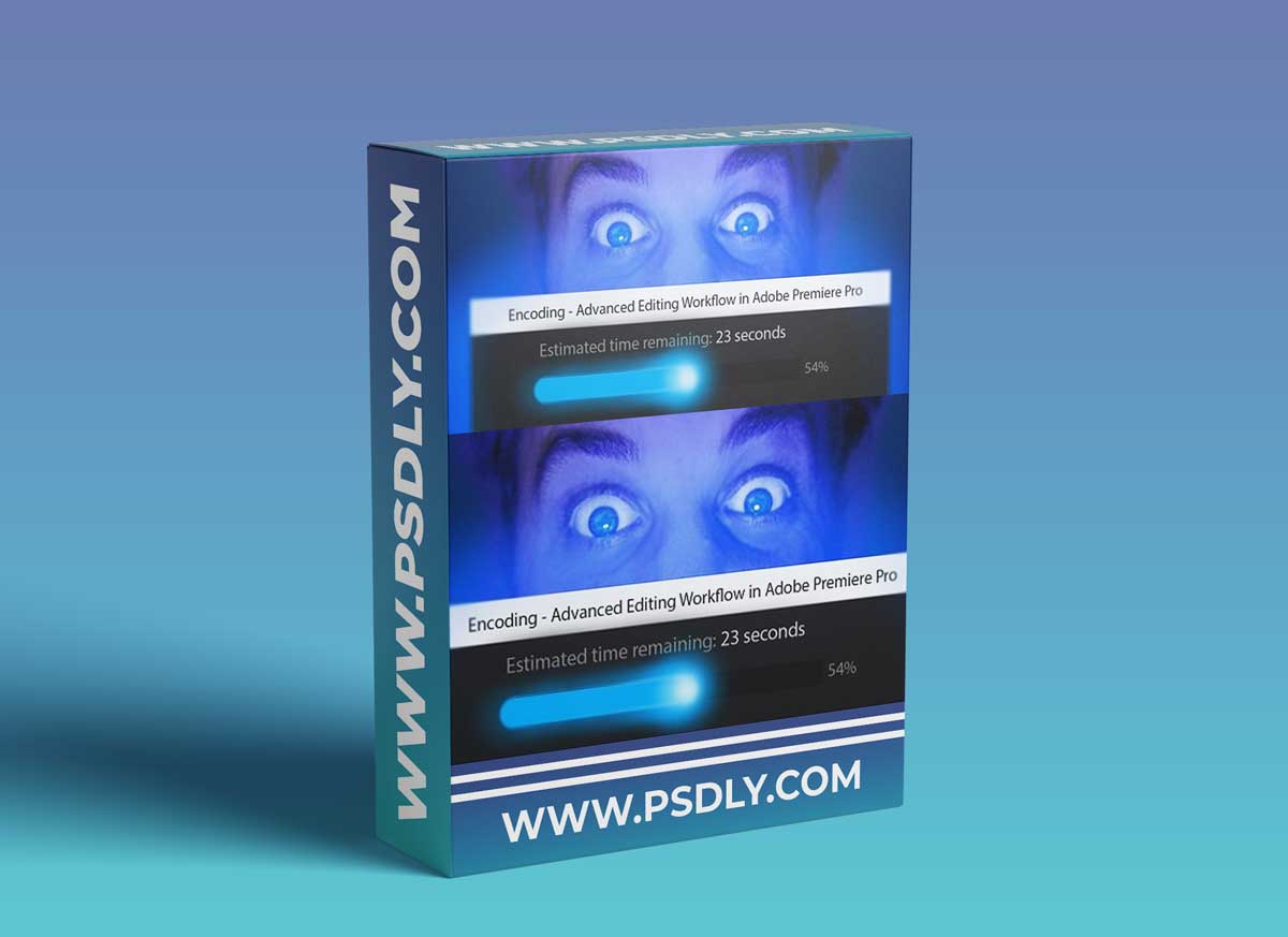 Video Optimization in Adobe Premiere Pro: Creating a Smooth Editing Experience