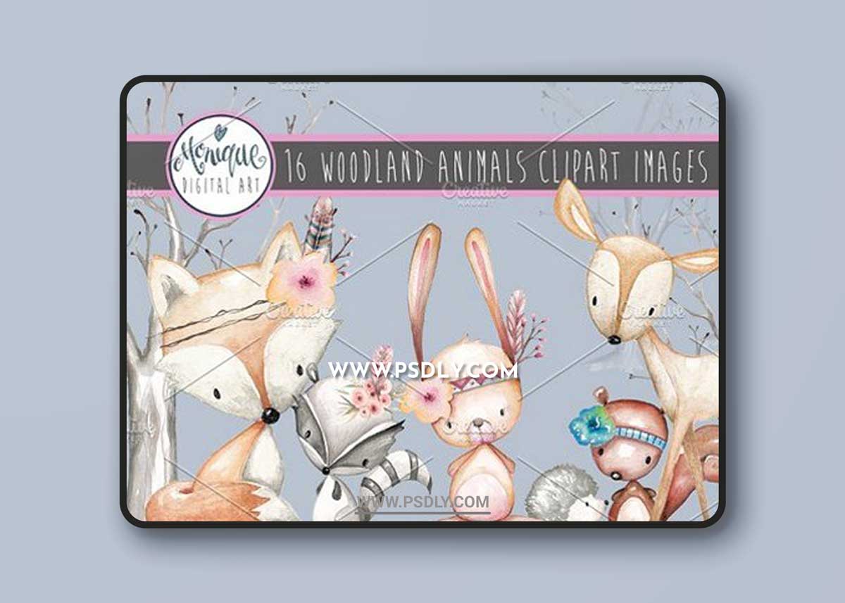Woodland Animals Clipart Watercolor