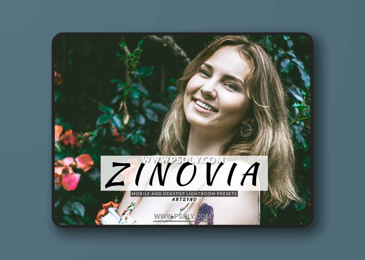 Zinovia Lightroom Presets Dekstop and Mobile