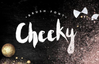Cheeky - - handwritten brush font BONUS Fonts