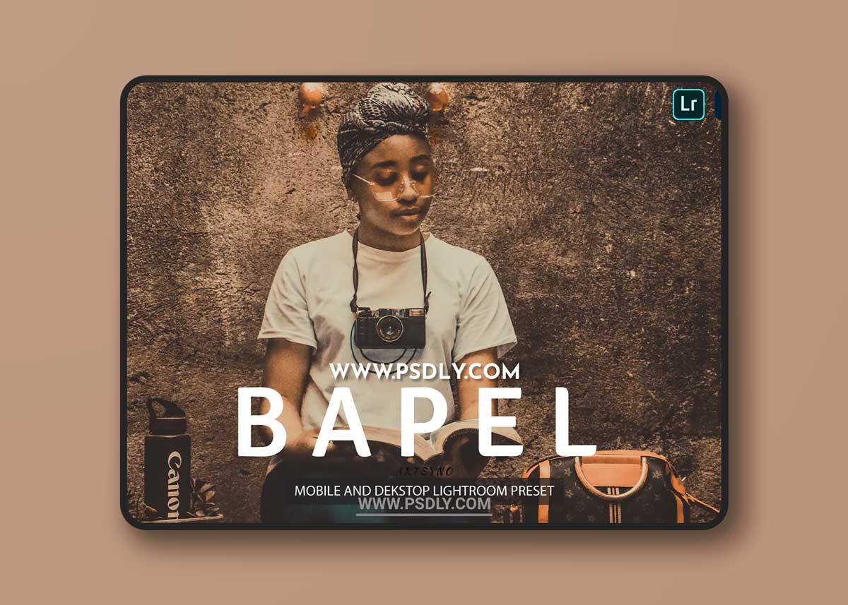 Bapel Lightroom Presets Dekstop and Mobile