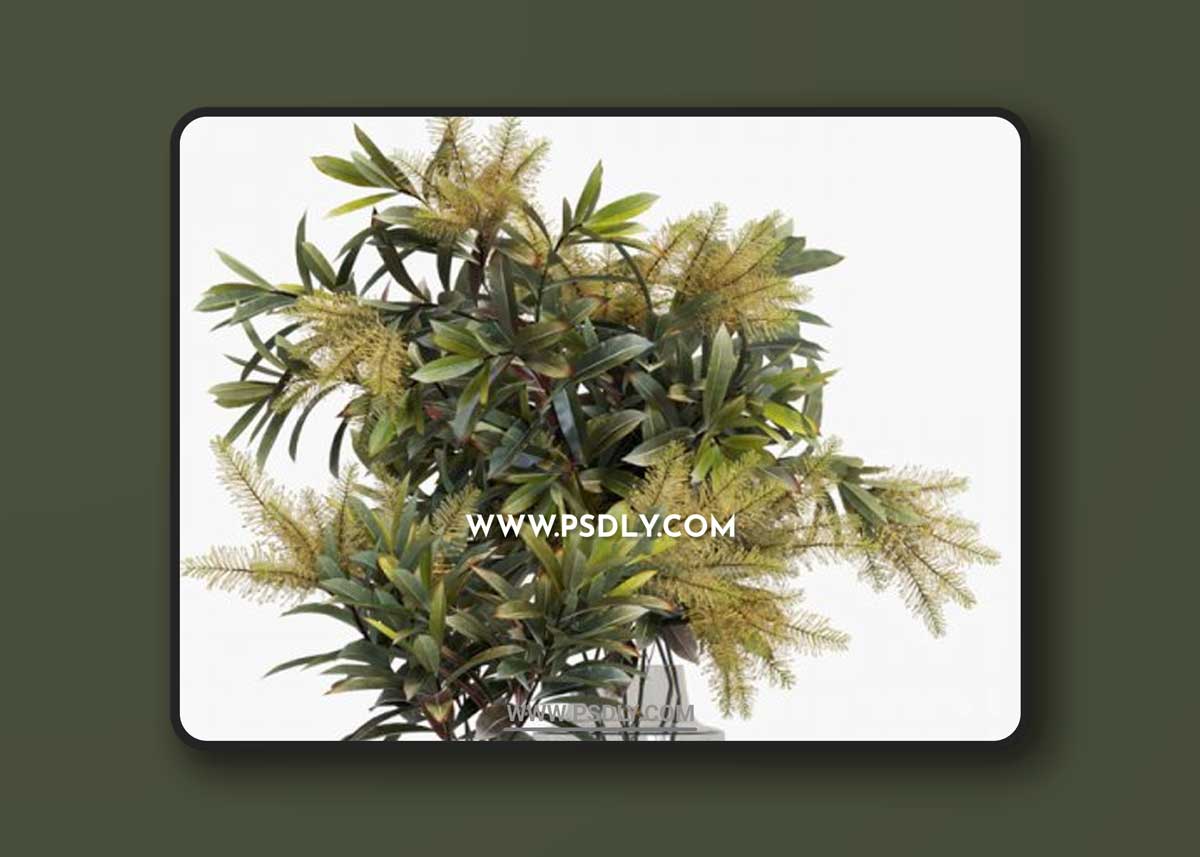 Branches in vases # 10 3D Models