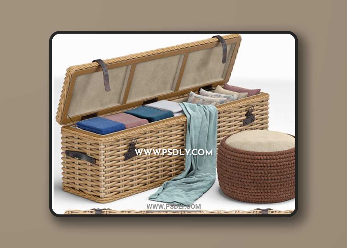 Brenna Leather Accent Woven Rattan Trunk pouf