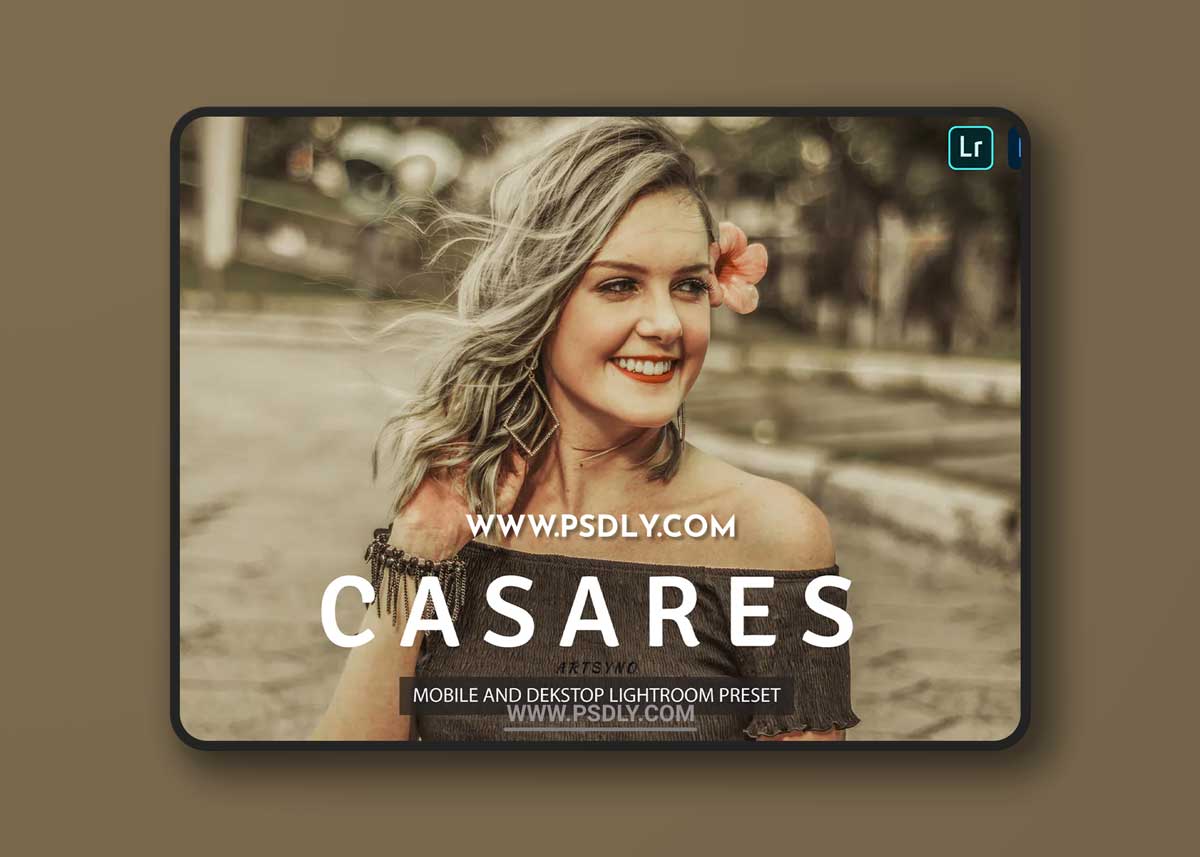 Buen Lightroom Presets Dekstop and Mobile