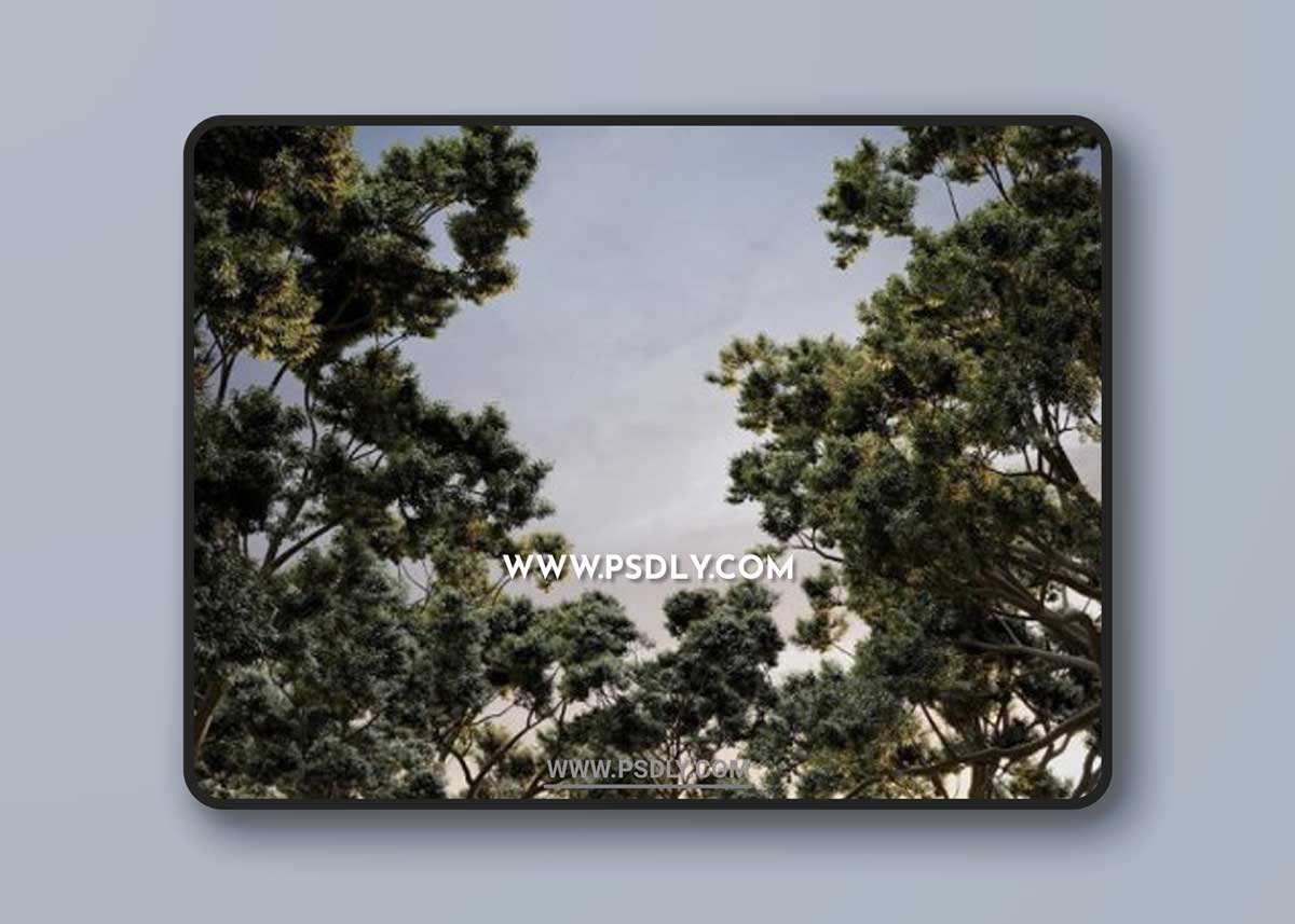 CG Helios – HeliosVegetation vol.2 Updated