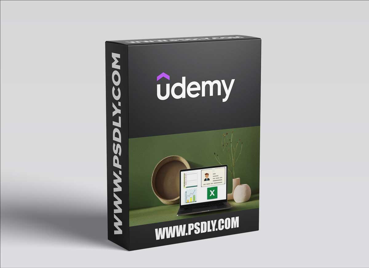 Complete Advanced Data Entry Application in Microsoft Excel