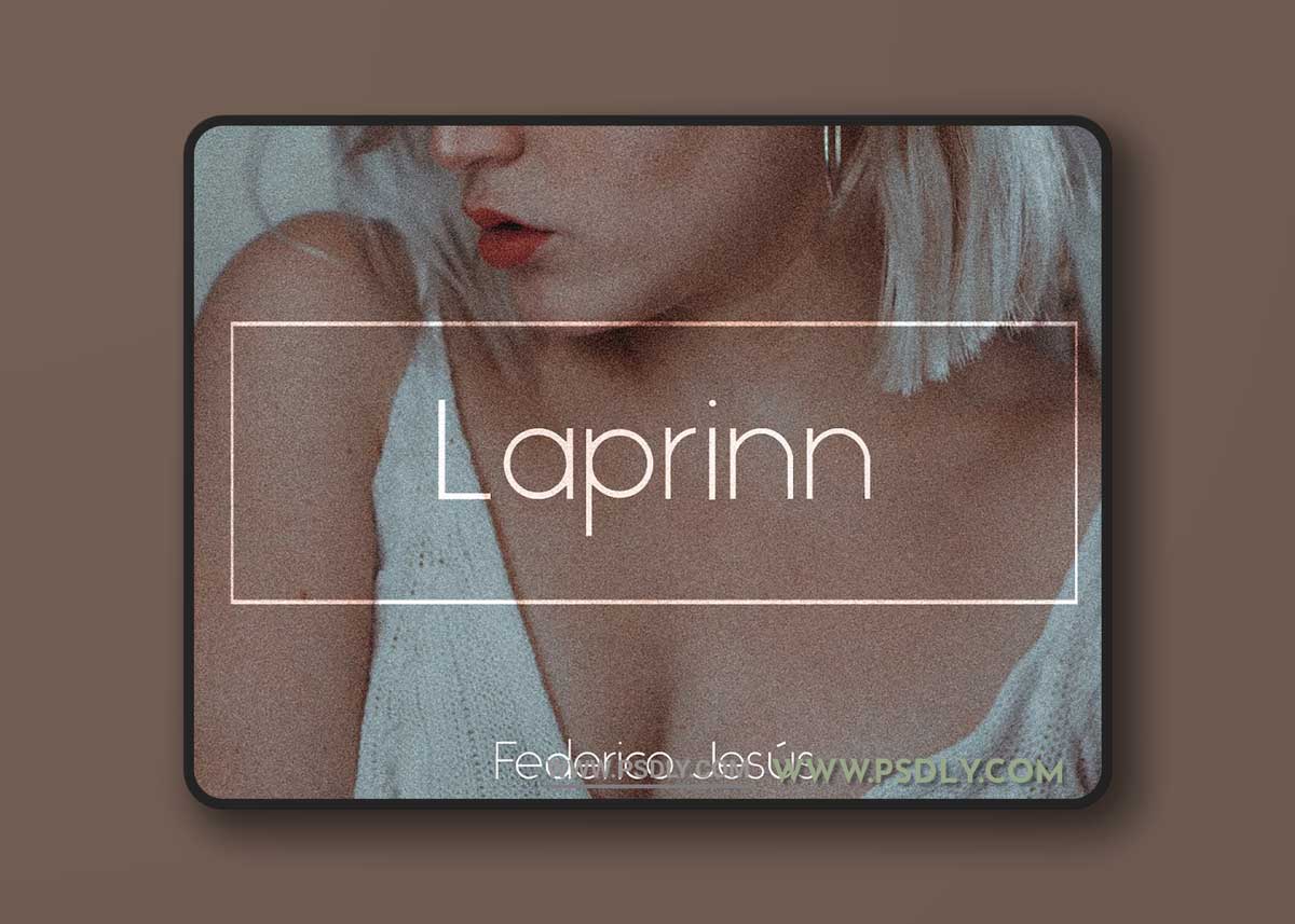CreativeMarket - Laprinn Bundle - PS & LR 6294664