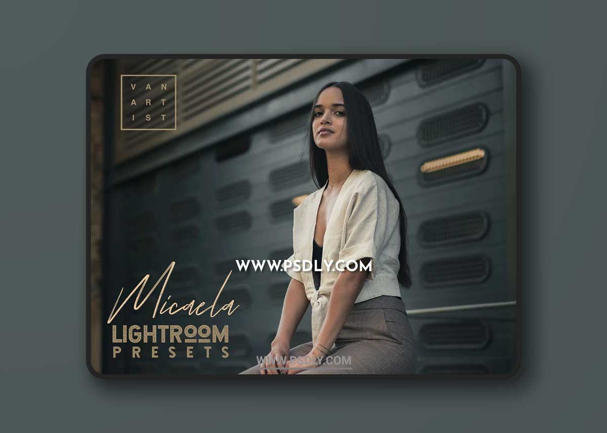 CreativeMarket - Micaela Portrait Presets 3381133