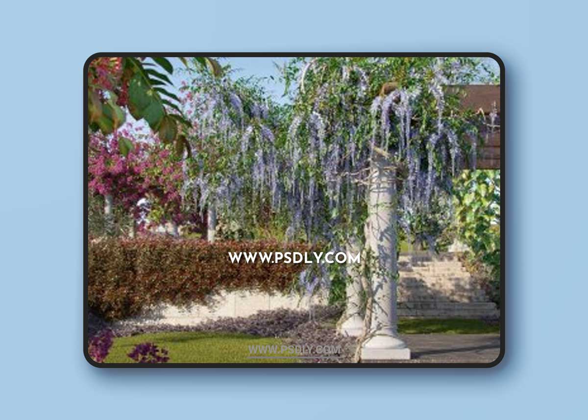 Globe Plants - Bundle 06 - Vines and Creepers 02